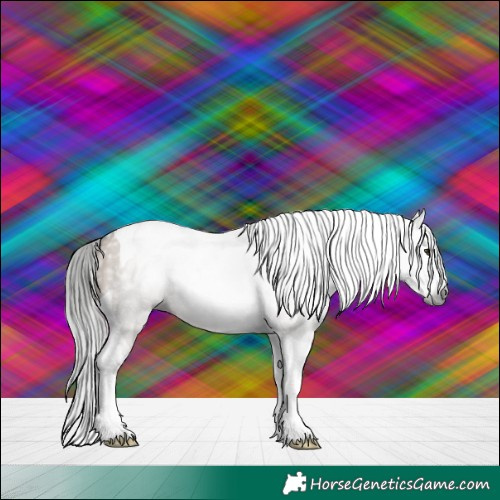Horse Color:Gray Liver Red Dun Splash Tobiano 