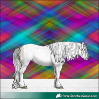 Horse Color:Gray Liver Red Dun Splash Tobiano 