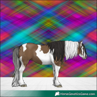 Horse Color:Gray Liver Red Dun Splash Tobiano 