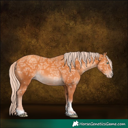 Horse Color:Gold Cream Champagne Ice Sabino Tobiano Rabicano 