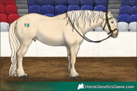 Horse Color:Palomino Dun 