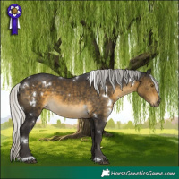 Horse Color:White Spotted Silver Buckskin 