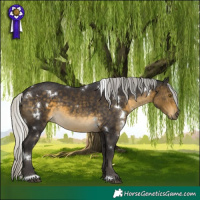 Horse Color:White Spotted Silver Buckskin 