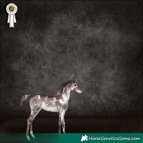 Horse Color:Platinum White Spotted Chocolate Brown Dun