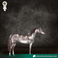 Horse Color:Platinum White Spotted Chocolate Brown Dun 