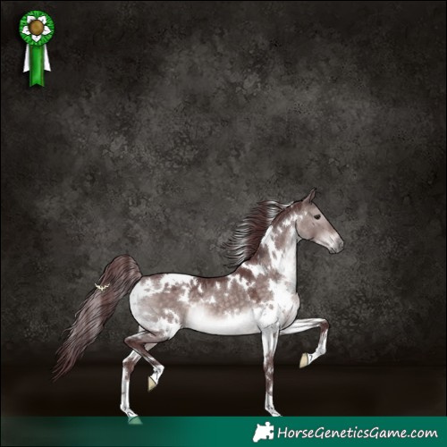 Horse Color:Platinum White Spotted Chocolate Brown Dun 