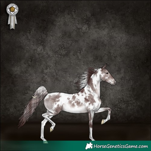 Horse Color:Platinum White Spotted Chocolate Brown Dun 