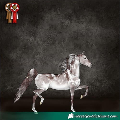 Horse Color:Platinum White Spotted Chocolate Brown Dun 