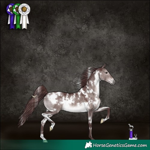 Horse Color:Platinum White Spotted Chocolate Brown Dun 