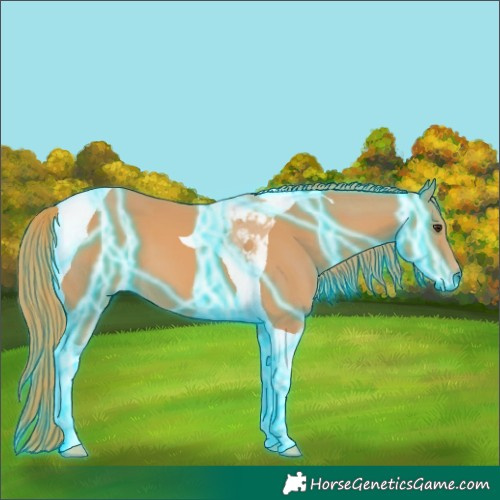 Horse Color:Thunderstruck Chestnut Tobiano