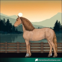 Horse Color:Red Roan