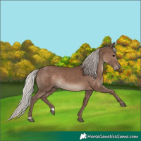 Horse Color:Silver Black 