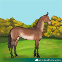 Horse Color:Void Bay 