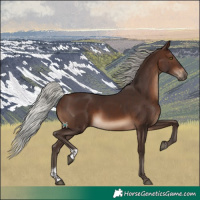 Horse Color:Silver Brown Tobiano Rabicano