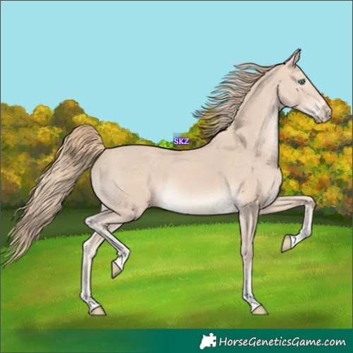 Horse Color:Perlino Tobiano Rabicano 