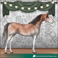 Horse Color:White Spotted Bay Splash  and White Spotted Bay Splash 