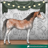 Horse Color:White Spotted Bay Splash  and White Spotted Bay Splash 