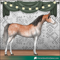Horse Color:White Spotted Bay Splash  and White Spotted Bay Splash 