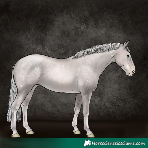 Horse Color:Platinum White Spotted Chocolate Palomino Pearl 