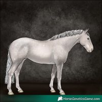 Horse Color:Platinum White Spotted Chocolate Palomino Pearl 