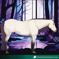Horse Color:Painted Buckskin Roan Dun 