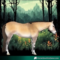 Horse Color:Buckskin Onyx