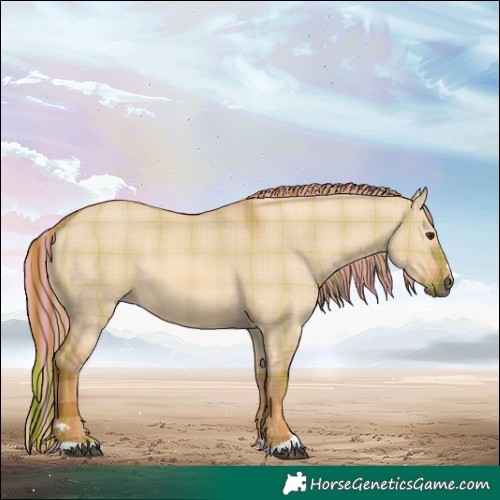 Horse Color:Painted Plaid  Red Dun 