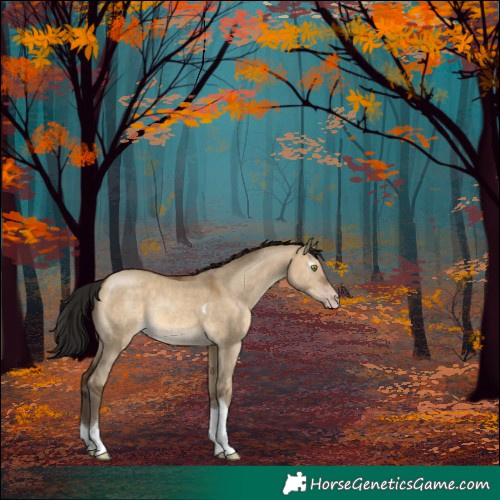 Horse Color:Gray Amber Champagne Dun Tobiano 