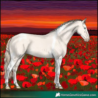 Horse Color:Perlino Dun Tobiano 