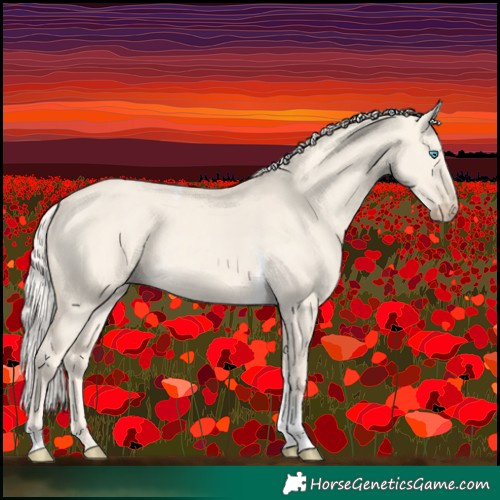 Horse Color:Cremello Dun Tobiano