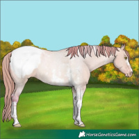 Horse Color:Watercolor Bay Pearl Dun Sabino Tobiano Snowcap 