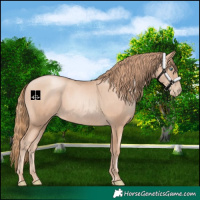 Horse Color:Gold Champagne Pearl Rabicano  and Gold Champagne Pearl Rabicano 