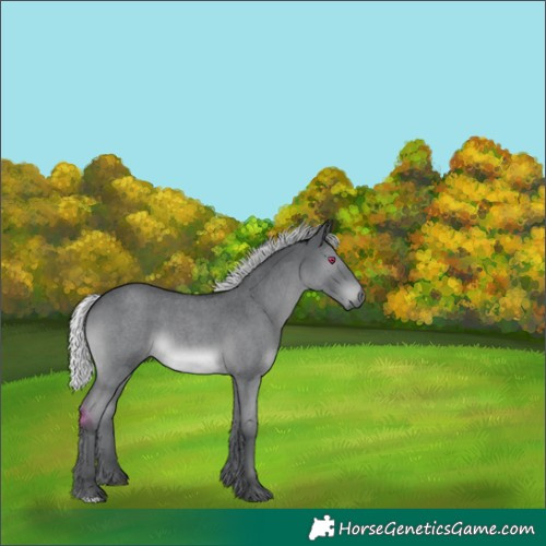 Horse Color:Silver Grullo Chinchilla Roan 