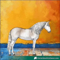 Horse Color:Gray White Spotted Liver Red Dun Mushroom Tobiano 