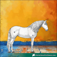 Horse Color:Gray White Spotted Liver Red Dun Mushroom Tobiano 