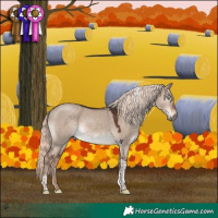 Horse Color:Liver Red Dun Mushroom Tobiano 