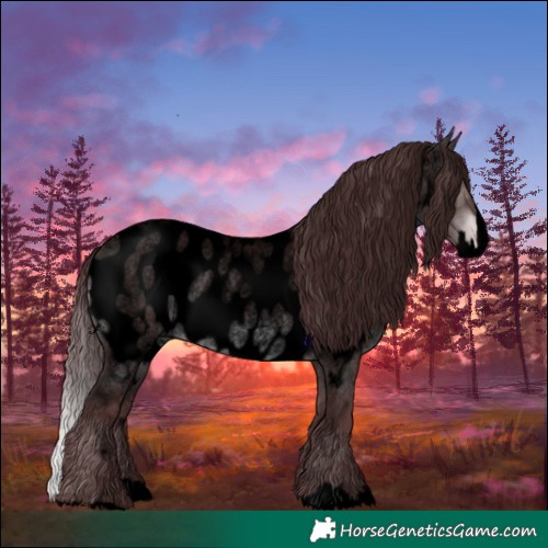 Horse Color:Void Platinum Chocolate Brown Roan Dun Splash Near Leopard