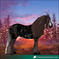 Horse Color:Void Platinum Chocolate Brown Roan Dun Splash Near Leopard 
