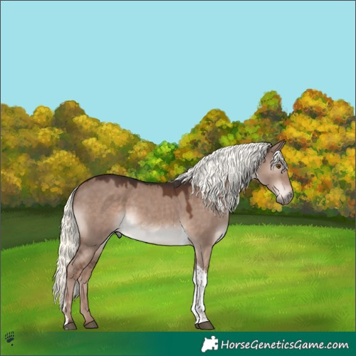 Horse Color:Liver Red Dun Mushroom Tobiano Rabicano 