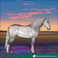 Horse Color:Chocolate Silver Brown Chinchilla Dun Tobiano 