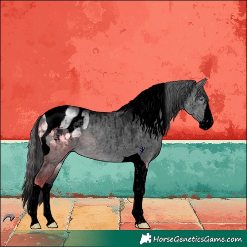 Horse Color:Void Brown Chinchilla Dun Splash Tobiano Blanket Brindle 