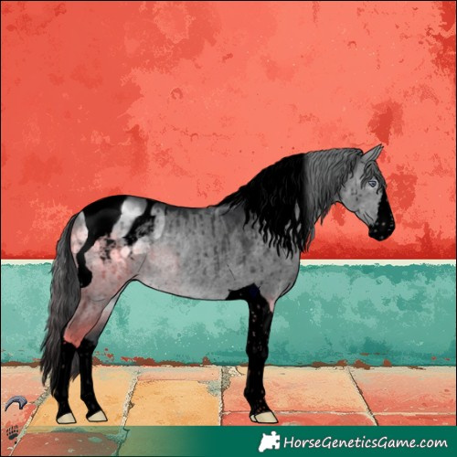 Horse Color:Void Brown Chinchilla Dun Splash Tobiano Appaloosa Brindle 