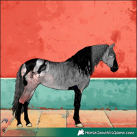 Horse Color:Void Brown Chinchilla Dun Splash Tobiano Appaloosa Brindle 