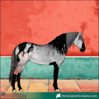 Horse Color:Void Brown Chinchilla Dun Splash Tobiano Appaloosa Brindle 