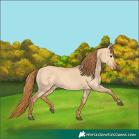 Horse Color:Red Dun 