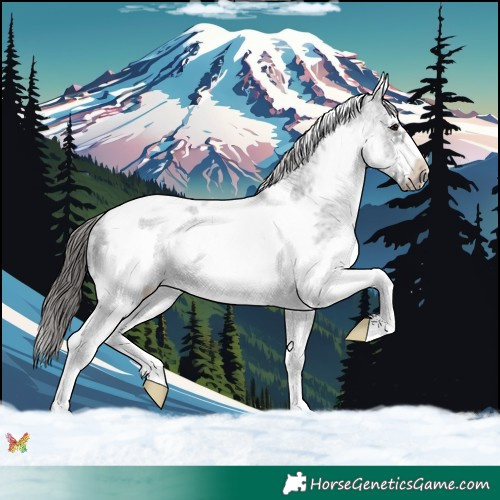 Horse Color:White Spotted Black Splash Tobiano Frame Varnish 