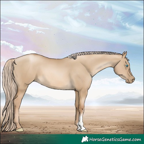 Horse Color:Chocolate Palomino Pearl Dun Sabino 