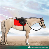 Horse Color:Chocolate Palomino Pearl Dun Sabino