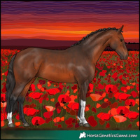 Horse Color:Bay Tobiano 