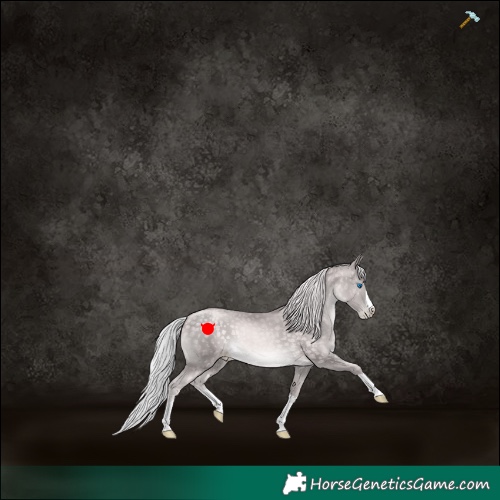 Horse Color:Platinum Chocolate Silver Buckskin Pearl Splash 